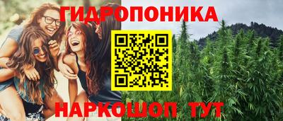 трава Славянск-на-Кубани